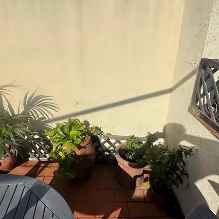 Small Penthouse With A Terrace 아파트